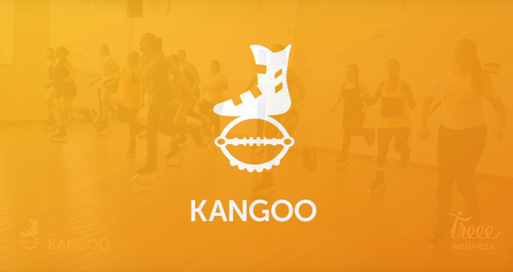Aula de Kangoo